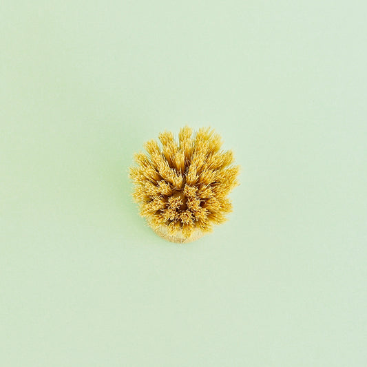 Wooden Banneton Basket Cleaning Brush