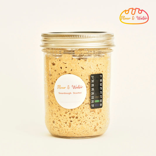 Mason Type Sourdough Starter Jar with Thermometer