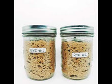 Load and play video in Gallery viewer, Organic RYE - Sourdough Starter Kit (Live Wild Yeast)
