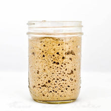Load image into Gallery viewer, Starter Kit - Organic Rye Sourdough (Live Wild Yeast) - Flour + Water Baking

