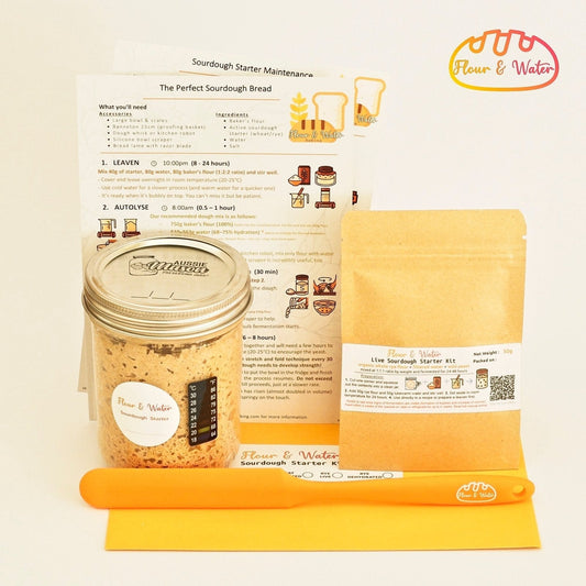 Live sourdough starter in a glass jar beside a dehydrated starter pouch and printed feeding instructions
