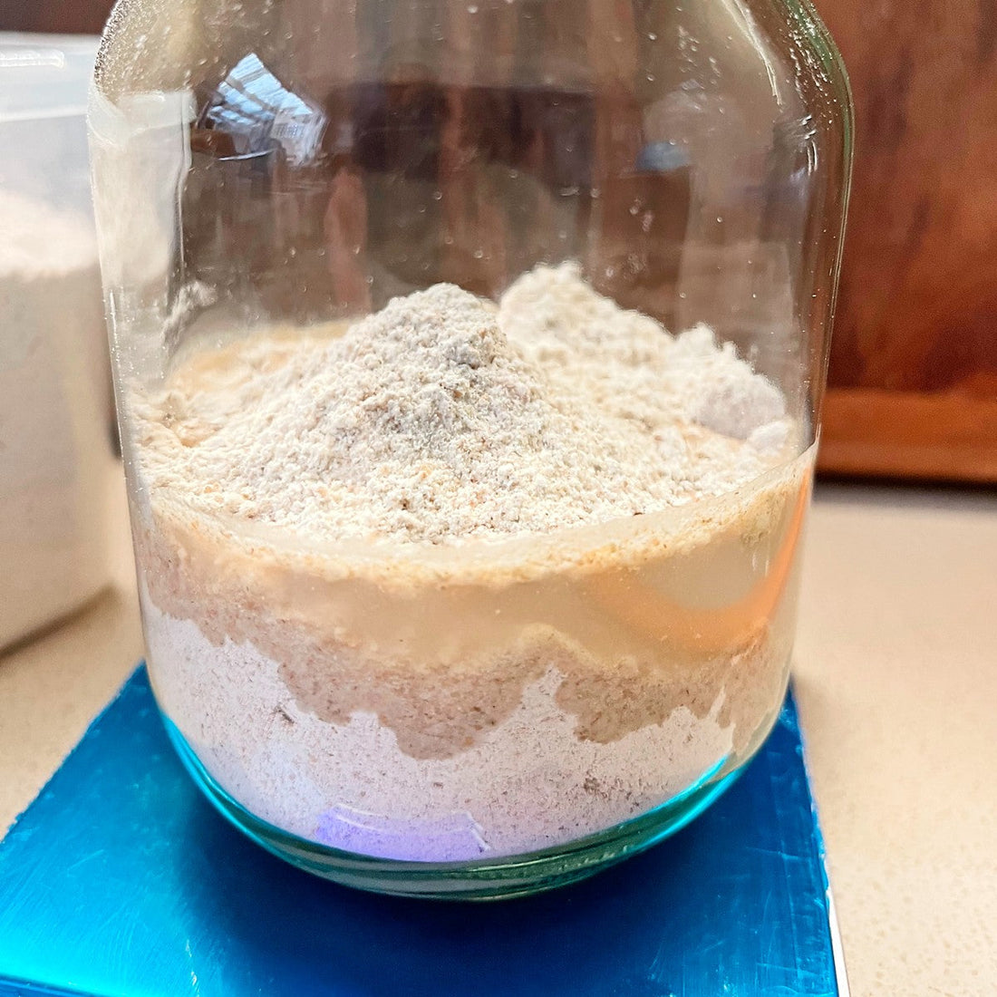 Should You Make a Sourdough Starter From Scratch or Buy One?