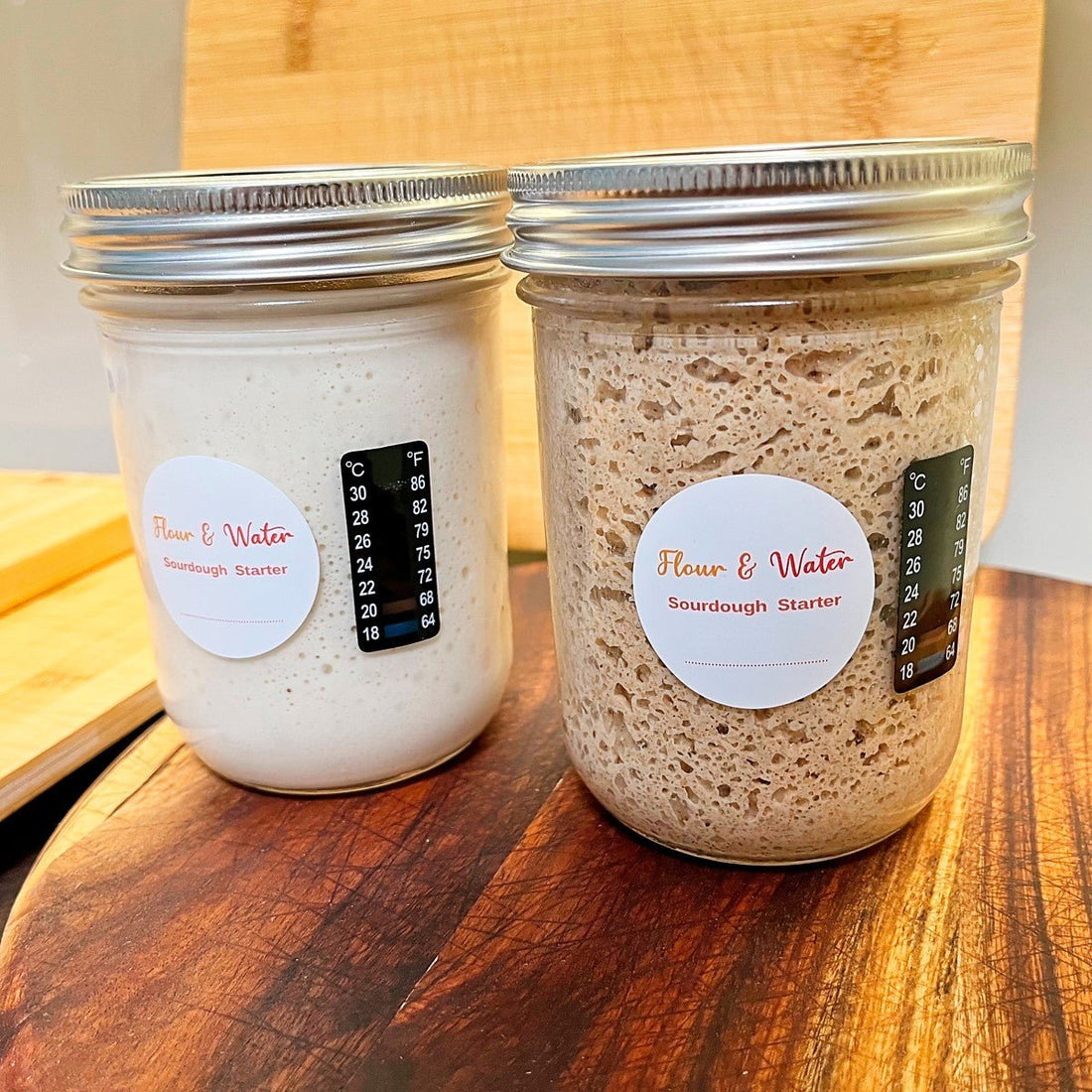 Step-by-Step Starter Feeding with Pictures - Flour + Water Baking