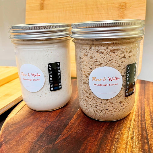 Step-by-Step Starter Feeding with Pictures - Flour + Water Baking