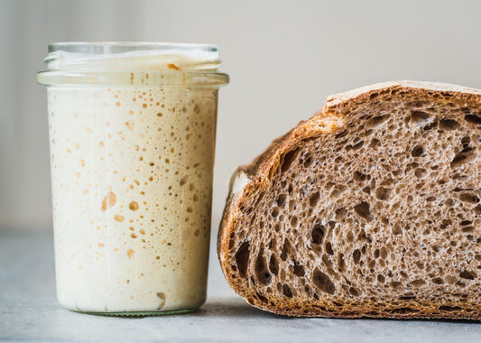 What Is a Sourdough Starter? Everything You Need to Know