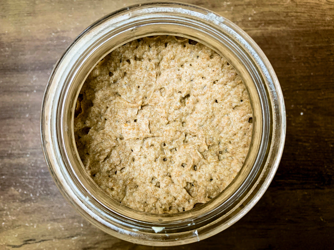 How to Feed Your Sourdough Starter — Step-by-Step Guide with Pictures
