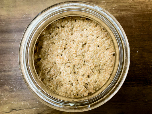 How to Feed Your Sourdough Starter — Step-by-Step Guide with Pictures