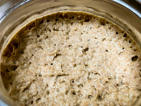 Is My Sourdough Starter Healthy? - Flour + Water Baking