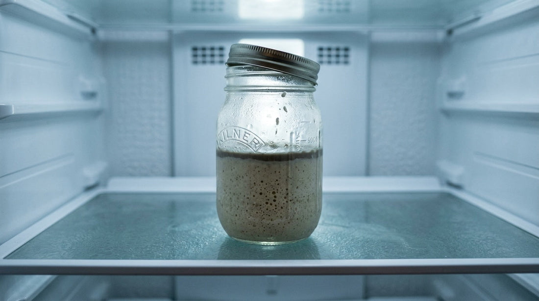 Going Away? How to Pause Your Sourdough Starter