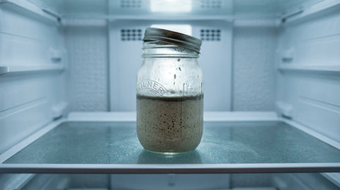 Going Away? How to Pause Your Sourdough Starter