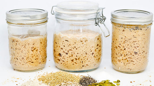 Sourdough Starter Care Guide — Feeding, Storage, and Troubleshooting