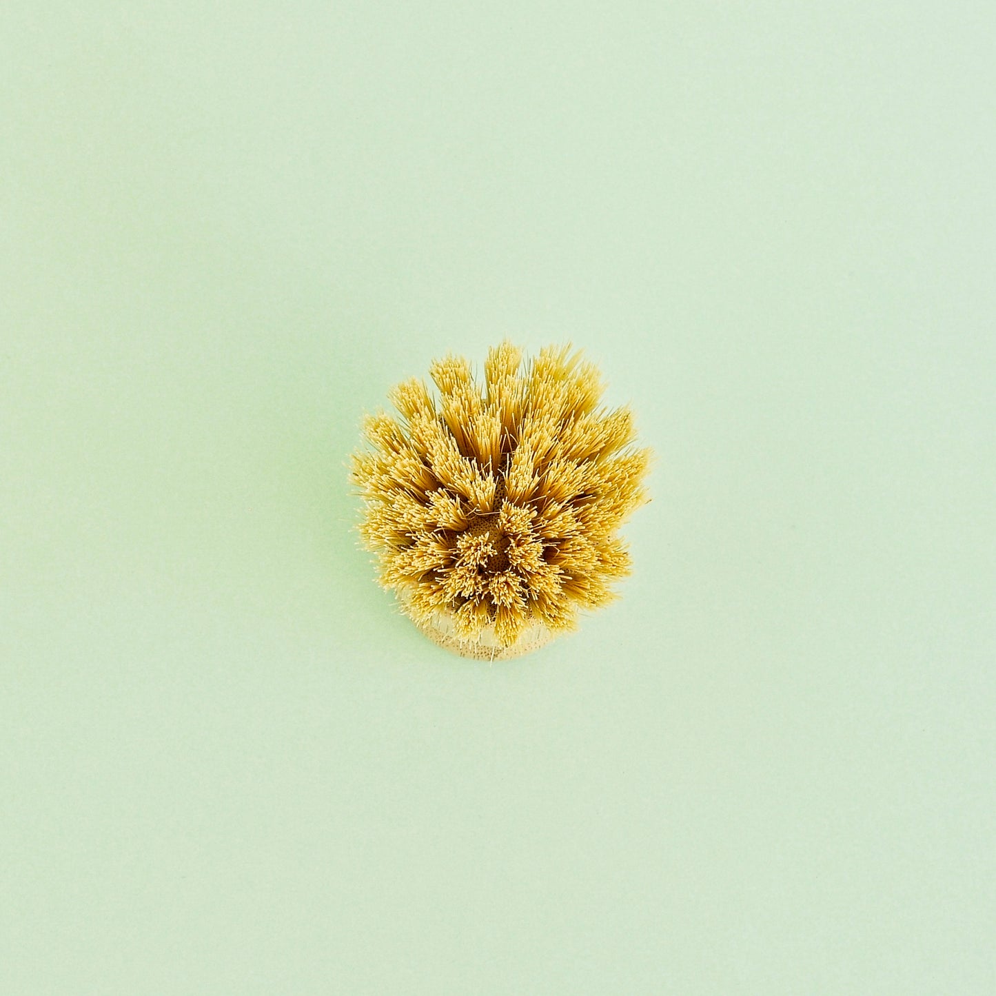 Wooden Banneton Basket Cleaning Brush