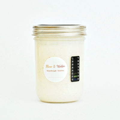 Live organic wheat sourdough starter in a mason jar with stick-on thermometer