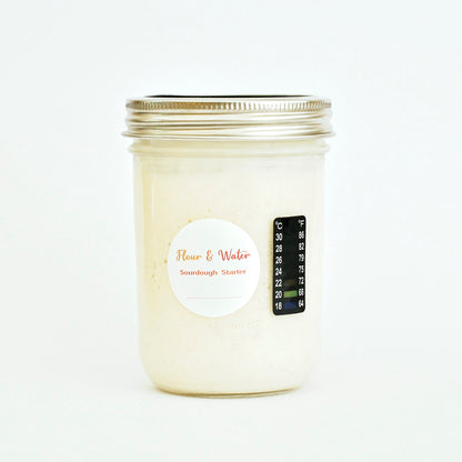 Sourdough Starter Kit - Organic WHEAT (Live Wild Yeast)