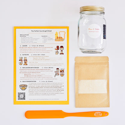 Bundle #1 - Sourdough Starter Bread Set