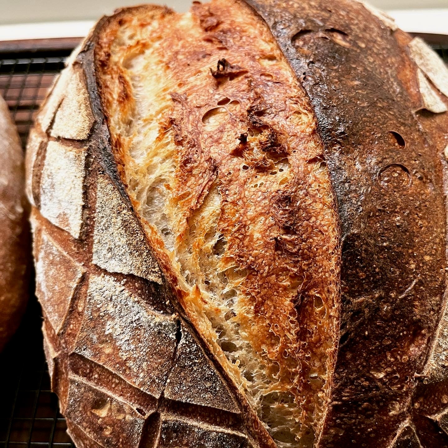 flour and water freshly baked home sourdough with scoring pattern and oven spring