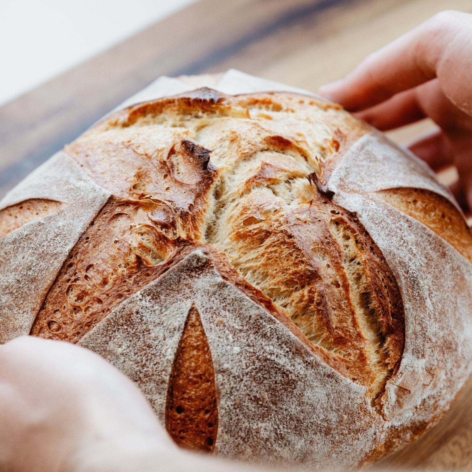 Bundle 4 - Ultimate Sourdough Baker Set - Flour + Water Baking