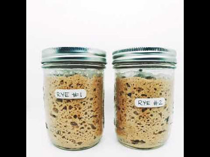 Sourdough Starter Kit - Organic RYE (Live Wild Yeast)