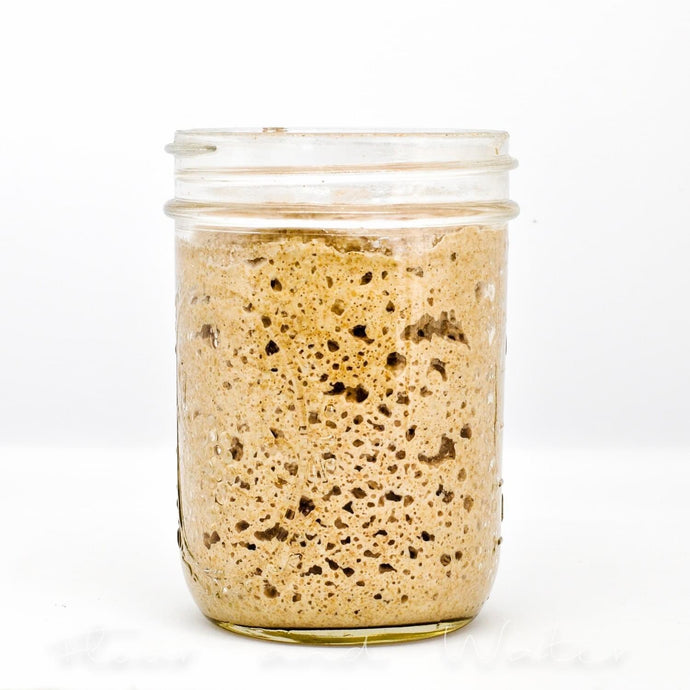 Starter Kit - Organic Rye Sourdough (Dehydrated Wild Yeast) - Flour + Water Baking