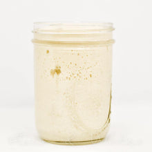 Load image into Gallery viewer, Starter Kit - Organic Wheat Sourdough (Live Wild Yeast) - Flour + Water Baking
