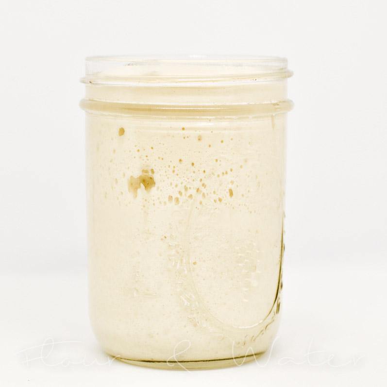 Starter Kit - Organic Wheat Sourdough (Live Wild Yeast) - Flour + Water Baking